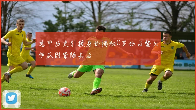 意甲历史引援身价揭秘C罗独占鳌头伊瓜因紧随其后